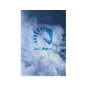 Обложка для паспорта матовая кожа с принтом TEAM LIQUID E-SPORT в городе Новоалтайск, натуральная матовая кожа | размер 19,3 х 13,7 см; прозрачные пластиковые крепления | 