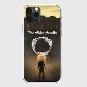Чехол для iPhone 12 Pro Max с принтом THE ELDER SCROLLS в городе Новоалтайск, Силикон |  | bethesda | game | tes | the elder scrolss | бетезда | игры | магия | рыцарь