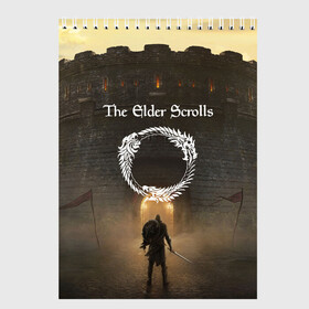 Скетчбук с принтом THE ELDER SCROLLS в городе Новоалтайск, 100% бумага
 | 48 листов, плотность листов — 100 г/м2, плотность картонной обложки — 250 г/м2. Листы скреплены сверху удобной пружинной спиралью | bethesda | game | tes | the elder scrolss | бетезда | игры | магия | рыцарь