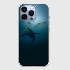 Чехол для iPhone 13 Pro с принтом Акулы в городе Новоалтайск,  |  | Тематика изображения на принте: море | океан | подводный мир | рыба | хищник