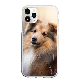Чехол для iPhone 11 Pro матовый с принтом Шелти в городе Новоалтайск, Силикон |  | dog | взгляд | колли | собака