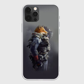 Чехол для iPhone 12 Pro Max с принтом Я и мой лис защитник в городе Новоалтайск, Силикон |  | Тематика изображения на принте: белый | военный | жилет | лис | лиса | мех | оранжевый | охотник | служба | спецназ | форма | хитрый