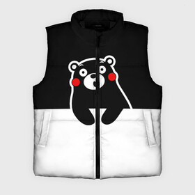 Мужской жилет утепленный 3D с принтом Kumamon повис в городе Новоалтайск,  |  | japanese | kumamon | kumamoto | аниме | игрушка | кумамон | кумамото сапурайдзу | персонаж | талисман | япония