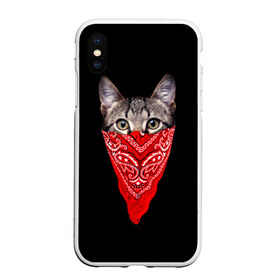 Чехол для iPhone XS Max матовый с принтом Gangsta Cat в городе Новоалтайск, Силикон | Область печати: задняя сторона чехла, без боковых панелей | cat | cats | gangsta | kitten | kitty | pussy | гангстер | кот | котенок | котик | котики | коты | котята | кошка | кошки | платок