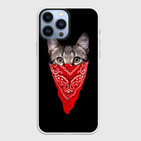 Чехол для iPhone 13 Pro Max с принтом Gangsta Cat в городе Новоалтайск,  |  | Тематика изображения на принте: cat | cats | gangsta | kitten | kitty | pussy | гангстер | кот | котенок | котик | котики | коты | котята | кошка | кошки | платок