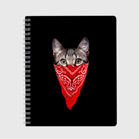 Тетрадь с принтом Gangsta Cat в городе Новоалтайск, 100% бумага | 48 листов, плотность листов — 60 г/м2, плотность картонной обложки — 250 г/м2. Листы скреплены сбоку удобной пружинной спиралью. Уголки страниц и обложки скругленные. Цвет линий — светло-серый
 | cat | cats | gangsta | kitten | kitty | pussy | гангстер | кот | котенок | котик | котики | коты | котята | кошка | кошки | платок