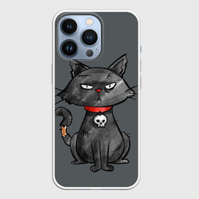 Чехол для iPhone 13 Pro с принтом Кот бедолага в городе Новоалтайск,  |  | Тематика изображения на принте: кот | череп | черный