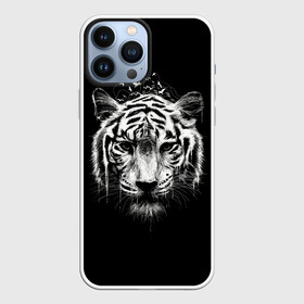Чехол для iPhone 13 Pro Max с принтом Dark Tiger в городе Новоалтайск,  |  | Тематика изображения на принте: africa | creepy | dark | desert | predator | scary | tiger | tigers | африка | жуткий | мрачный | пустыня | страшный | тигр | тигренок | тигрица | тигрицы | тигры | тигрята | хищник
