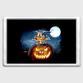Магнит 45*70 с принтом Halloween в городе Новоалтайск, Пластик | Размер: 78*52 мм; Размер печати: 70*45 | Тематика изображения на принте: аниме | ведьма | девушка | зомби | ирландия | кладбище | колдун | кости | кошки | летучие | луна | мертвец | мёртвые | монстры | мыши | ночь | оборотни | пауки | паутина | подарок | праздник | свет | свечи