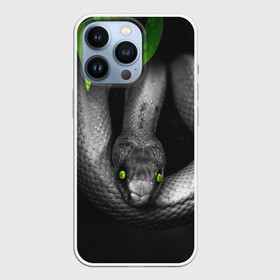 Чехол для iPhone 13 Pro с принтом Змея в городе Новоалтайск,  |  | Тематика изображения на принте: гадюка | животные | змея | листья | природа | удав | черно белое | черное и белое