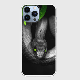 Чехол для iPhone 13 Pro Max с принтом Змея в городе Новоалтайск,  |  | Тематика изображения на принте: гадюка | животные | змея | листья | природа | удав | черно белое | черное и белое