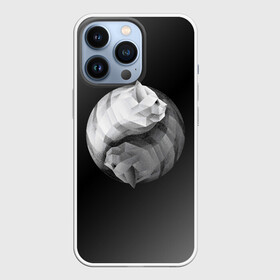 Чехол для iPhone 13 Pro с принтом Янь Янь Котики в городе Новоалтайск,  |  | cat | cats | jang | jing | kitten | kitty | pussy | инь | кот | котенок | котик | котики | коты | котята | кошка | кошки | янь