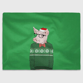 Плед 3D с принтом New Year Hipster Pig в городе Новоалтайск, 100% полиэстер | закругленные углы, все края обработаны. Ткань не мнется и не растягивается | 2019 | merry christmas | new year | год свиньи | зима | новый год | поросенок | праздник | рождество | свинка | свинья