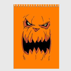 Скетчбук с принтом Halloween в городе Новоалтайск, 100% бумага
 | 48 листов, плотность листов — 100 г/м2, плотность картонной обложки — 250 г/м2. Листы скреплены сверху удобной пружинной спиралью | Тематика изображения на принте: halloween | orange | pumpkin | scary | оранжевая | страшная | тыква | ужас | хэллоуин