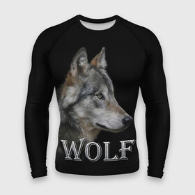 Мужской рашгард 3D с принтом Wolf в городе Новоалтайск,  |  | волк | животные | мордочка | пес | природа | собака | хищник