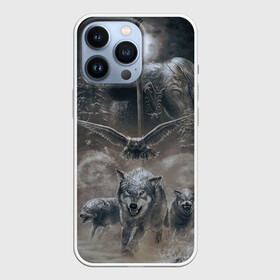 Чехол для iPhone 13 Pro с принтом русь в городе Новоалтайск,  |  | Тематика изображения на принте: ethnic | folk | runes | slav | велес | волк | руны | русь | славяне | сова | филин | фолк | фольклор | этника | этно | язычество