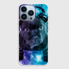 Чехол для iPhone 13 Pro с принтом Милый пёс в городе Новоалтайск,  |  | Тематика изображения на принте: dog | бульдог | собака | черный