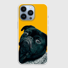 Чехол для iPhone 13 Pro с принтом Бульдожка в городе Новоалтайск,  |  | Тематика изображения на принте: бульдог | паг | пес | собака | черный