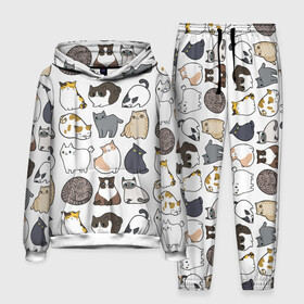 Мужской костюм 3D (с толстовкой) с принтом Котики в городе Новоалтайск,  |  | cat | cats | cute | kitten | kitty | pussy | smile | кот | котенок | котик | котики | коты | котята | кошечка | кошечки | кошка | кошки | милая | милота | милый | полосатый | порода | смеется | улыбается | улыбака | улыбка