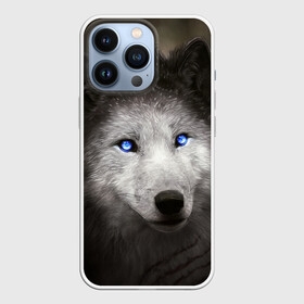 Чехол для iPhone 13 Pro с принтом Голубоглазый волк в городе Новоалтайск,  |  | Тематика изображения на принте: волк | глаза | охотник | серый | хищник
