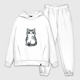 Мужской костюм хлопок OVERSIZE с принтом I Dont Give A Meow в городе Новоалтайск,  |  | дерзкий | дикий | кот | котенок | котик | котэ | кошечка | лапочка | милашка | милота | милый | мимими | мяу | полосатый