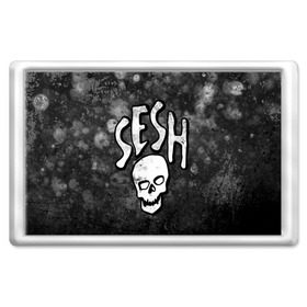 Магнит 45*70 с принтом SESH Team (Bones) в городе Новоалтайск, Пластик | Размер: 78*52 мм; Размер печати: 70*45 | bones | boy | dead | deadboy | elmo | hdmi | hip | hop | kennedy | metal | rap | rapper | scream | sesh | seshollowaterboyz | skull | team | кеннеди | кости | костя | метал | рэп | рэпер | сеш | скрим | сэш | хип | хоп | череп | элмо