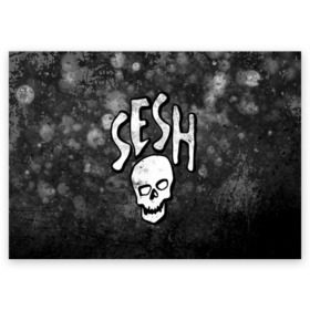 Поздравительная открытка с принтом SESH Team (Bones) в городе Новоалтайск, 100% бумага | плотность бумаги 280 г/м2, матовая, на обратной стороне линовка и место для марки
 | bones | boy | dead | deadboy | elmo | hdmi | hip | hop | kennedy | metal | rap | rapper | scream | sesh | seshollowaterboyz | skull | team | кеннеди | кости | костя | метал | рэп | рэпер | сеш | скрим | сэш | хип | хоп | череп | элмо