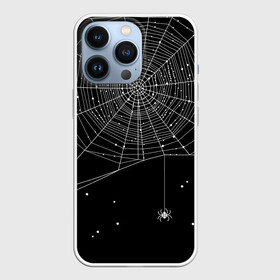 Чехол для iPhone 13 Pro с принтом Паутина в городе Новоалтайск,  |  | вода | день мертвых | дизайнерская | искусство | капли | картинка | круто | лучший | мексика | мода | молодёжная | мрак | насекомое | ночь | паук | паутина | подарок | поздравление | праздник | рисунок