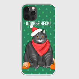 Чехол для iPhone 12 Pro Max Кот хочет кушот: в городе Новоалтайск, Силикон | | кот | кушот | новый год | оливье | толстый кот