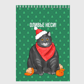 Скетчбук с принтом Кот хочет кушот в городе Новоалтайск, 100% бумага
 | 48 листов, плотность листов — 100 г/м2, плотность картонной обложки — 250 г/м2. Листы скреплены сверху удобной пружинной спиралью | кот | кушот | новый год | оливье | толстый кот