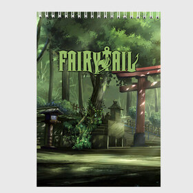 Скетчбук с принтом Fairy Tail в городе Новоалтайск, 100% бумага
 | 48 листов, плотность листов — 100 г/м2, плотность картонной обложки — 250 г/м2. Листы скреплены сверху удобной пружинной спиралью | fairy | tail | драгнил | дракон | зереф | люси | маг | манга | нацу | феникс | фиор | хартфилия | хвост феи | хэппи
