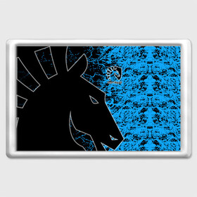 Магнит 45*70 с принтом Team Liquid в городе Новоалтайск, Пластик | Размер: 78*52 мм; Размер печати: 70*45 | dota | liquid | team | the international | дота | игры | кибер | ликвид | спорт | тим