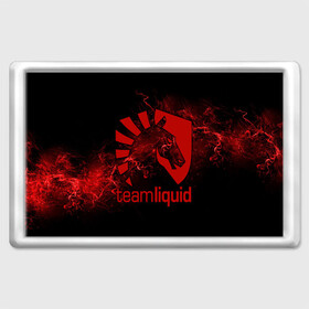 Магнит 45*70 с принтом Team Liquid в городе Новоалтайск, Пластик | Размер: 78*52 мм; Размер печати: 70*45 | dota | liquid | team | the international | дота | игры | кибер | ликвид | спорт | тим