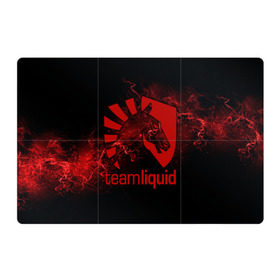 Магнитный плакат 3Х2 с принтом Team Liquid в городе Новоалтайск, Полимерный материал с магнитным слоем | 6 деталей размером 9*9 см | dota | liquid | team | the international | дота | игры | кибер | ликвид | спорт | тим