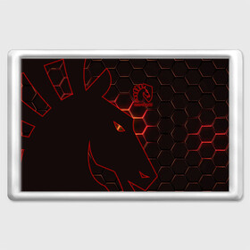 Магнит 45*70 с принтом  Team Liquid в городе Новоалтайск, Пластик | Размер: 78*52 мм; Размер печати: 70*45 | dota | liquid | team | the international | дота | игры | кибер | ликвид | спорт | тим