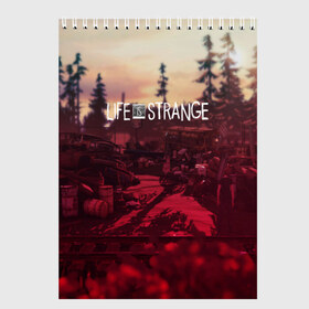 Скетчбук с принтом Life is Strange в городе Новоалтайск, 100% бумага
 | 48 листов, плотность листов — 100 г/м2, плотность картонной обложки — 250 г/м2. Листы скреплены сверху удобной пружинной спиралью | caulfield | chloe price | game | kate marsh | life | life is strange | life is strange: before the storm | max | strange | две луны | игры | кейт марш | колфилд | макс | подростки | студенты