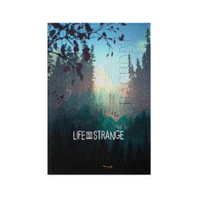 Обложка для паспорта матовая кожа с принтом Life is Strange в городе Новоалтайск, натуральная матовая кожа | размер 19,3 х 13,7 см; прозрачные пластиковые крепления | Тематика изображения на принте: caulfield | chloe price | game | kate marsh | life | life is strange | life is strange: before the storm | max | strange | две луны | игры | кейт марш | колфилд | макс | подростки | студенты