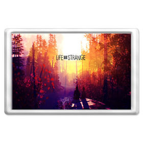 Магнит 45*70 Life is Strange: в городе Новоалтайск, Пластик | Размер: 78*52 мм; Размер печати: 70*45 | caulfield | chloe price | game | kate marsh | life | life is strange | life is strange: before the storm | max | strange | две луны | игры | кейт марш | колфилд | макс | подростки | студенты