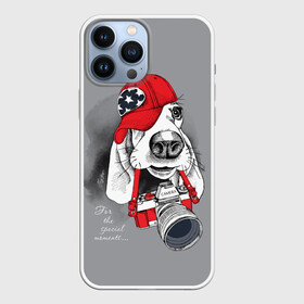 Чехол для iPhone 13 Pro Max с принтом For the special moments... в городе Новоалтайск,  |  | animal | breed | dog | red | бассет хаунд | бейсболка | большие | взгляд | графика | животное | звезды | искусство | камера | картинка | красный | крутой | лучший | мода | модный | молодёжная | порода | рисунок