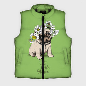 Мужской жилет утепленный 3D с принтом My little hippie в городе Новоалтайск,  |  | breed | dog | hippie | kid | little | my | pug | puppy | wreath | венок | графика | зелёный | картинка | красивый | крутой | лучший | маленький | малыш | мода | модный | мой | молодёжная | мопс | порода | рисунок | ромашки | собака