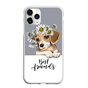 Чехол для iPhone 11 Pro матовый с принтом Best friend в городе Новоалтайск, Силикон |  | Тематика изображения на принте: backgroun | best | breed | daisies | dog | flowers | friend | green | kid | puppy | wreath | венок | графика | друг | зелёный | картинка | красивый | крутой | лучший | малыш | мода | модный | молодёжная | порода | рисунок | ромашки | собака