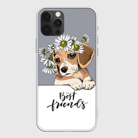 Чехол для iPhone 12 Pro Max с принтом Best friend в городе Новоалтайск, Силикон |  | Тематика изображения на принте: backgroun | best | breed | daisies | dog | flowers | friend | green | kid | puppy | wreath | венок | графика | друг | зелёный | картинка | красивый | крутой | лучший | малыш | мода | модный | молодёжная | порода | рисунок | ромашки | собака