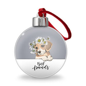 Ёлочный шар с принтом Best friend в городе Новоалтайск, Пластик | Диаметр: 77 мм | backgroun | best | breed | daisies | dog | flowers | friend | green | kid | puppy | wreath | венок | графика | друг | зелёный | картинка | красивый | крутой | лучший | малыш | мода | модный | молодёжная | порода | рисунок | ромашки | собака