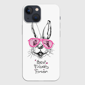 Чехол для iPhone 13 mini с принтом Best Friends Forever в городе Новоалтайск,  |  | Тематика изображения на принте: animal | best friends | forever | hare | hearts | love | rabbit | белый | графика | друзья | животное | заяц | искусство | картинка | кролик | крутой | лучшие | лучший | любоввь | модный | навсегда | очки | полосатые | рисунок