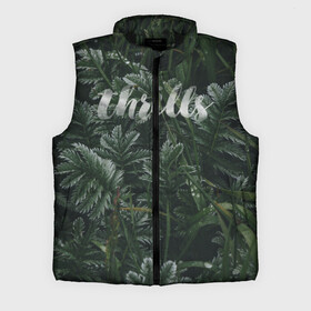 Мужской жилет утепленный 3D с принтом Thrills в городе Новоалтайск,  |  | big | арт | крупные арты | крупные принты | сумасшедшие арты