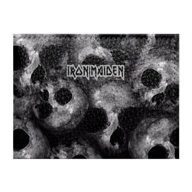 Обложка для студенческого билета с принтом Iron Maiden в городе Новоалтайск, натуральная кожа | Размер: 11*8 см; Печать на всей внешней стороне | Тематика изображения на принте: бас | британия | брюс дикинсон | гитара | группа | дева | железная | метал | нико макбрэйн | рок | стив харрис | хеви | яник герс