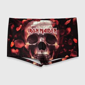 Мужские купальные плавки 3D с принтом Iron Maiden в городе Новоалтайск, Полиэстер 85%, Спандекс 15% |  | бас | британия | брюс дикинсон | гитара | группа | дева | железная | метал | нико макбрэйн | рок | стив харрис | хеви | яник герс