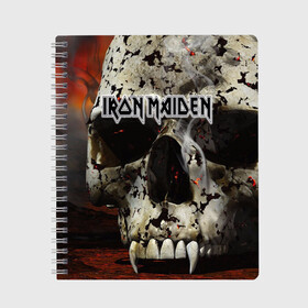Тетрадь с принтом Iron Maiden в городе Новоалтайск, 100% бумага | 48 листов, плотность листов — 60 г/м2, плотность картонной обложки — 250 г/м2. Листы скреплены сбоку удобной пружинной спиралью. Уголки страниц и обложки скругленные. Цвет линий — светло-серый
 | бас | британия | брюс дикинсон | гитара | группа | дева | железная | метал | нико макбрэйн | рок | стив харрис | хеви | яник герс
