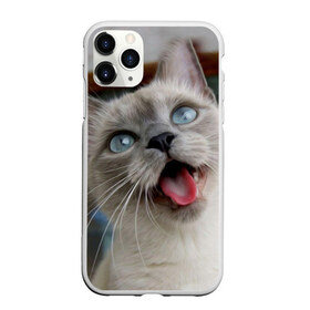 Чехол для iPhone 11 Pro матовый с принтом Сиамский котенок в городе Новоалтайск, Силикон |  | животные | кот | котенок | котик | кошечка | кошка | милый | мордочка | показывает язык | прикол | серый | сиамская | сиамская кошка | сиамский котенок | юмор | язык