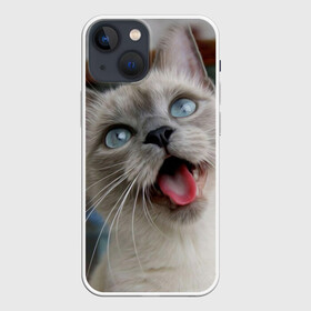 Чехол для iPhone 13 mini с принтом Сиамский котенок в городе Новоалтайск,  |  | животные | кот | котенок | котик | кошечка | кошка | милый | мордочка | показывает язык | прикол | серый | сиамская | сиамская кошка | сиамский котенок | юмор | язык